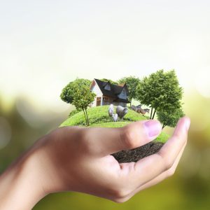 Enriching the Therapeutic Relationship with Animals and Nature