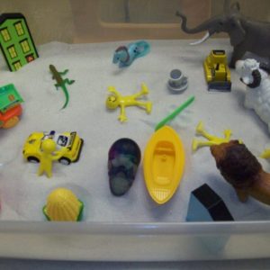 Using Sandtray in Play Therapy (Two Day)