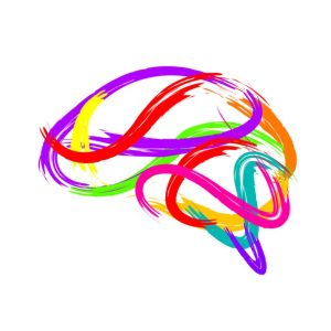 Brain Research and Child Development In A Play Therapy Setting