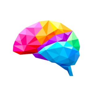 Brain Research And Child Development In A Play Therapy Setting